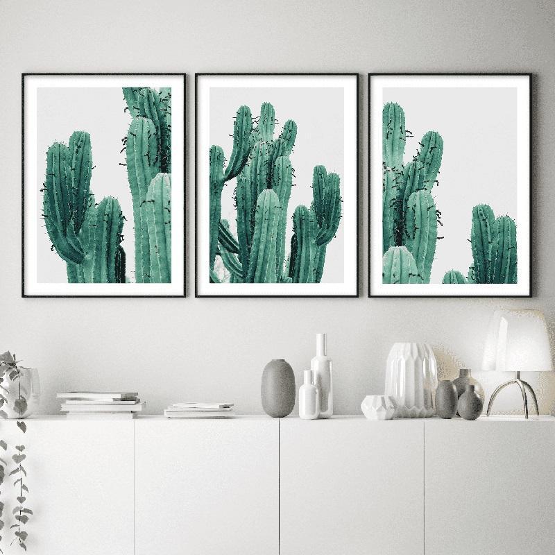 Cactus Everywhere - Nordic Side - 