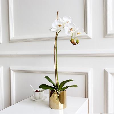 Gold Vase with Orchids - Nordic Side - 