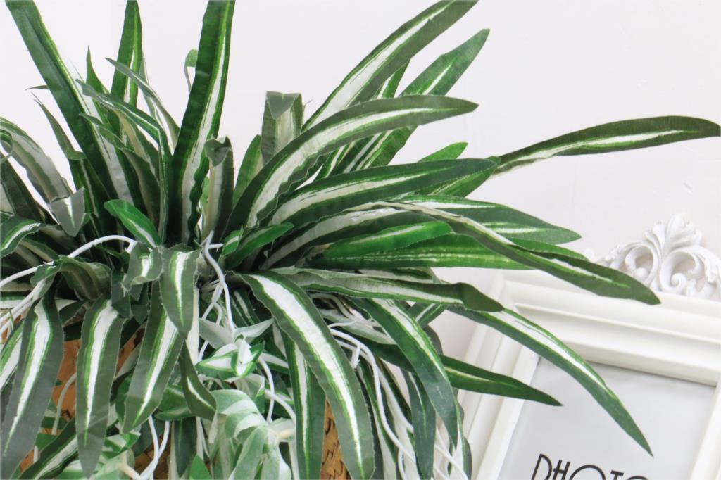 Artificial Chlorophytum Grass - Nordic Side - 