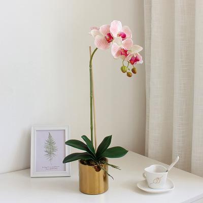 Gold Vase with Orchids - Nordic Side - 