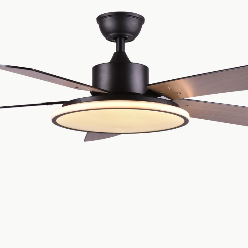 Brady Luxury LED Ceiling Fan