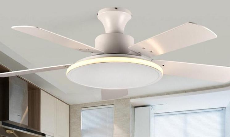 Brady Luxury LED Ceiling Fan