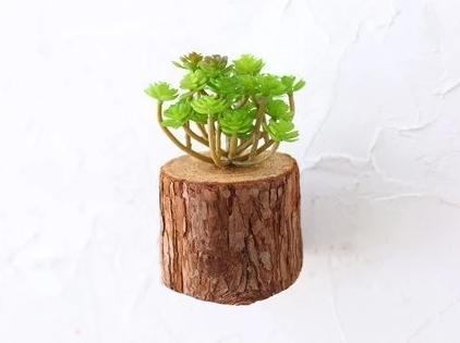 Woody - 3D Imitation Trunk Wall Planter - Nordic Side - 11-18, feed-cl1-planters, modern-farmhouse, modern-planter-collection