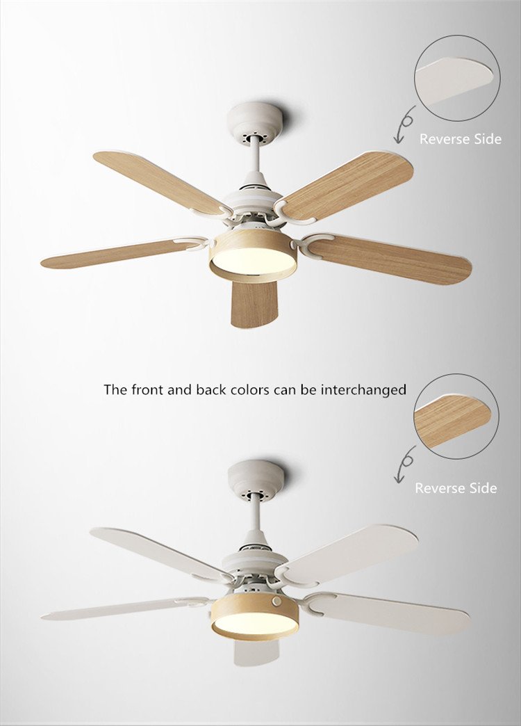 Alex - Post Modern Ceiling Fan - Nordic Side - feed-cl0-over-80-dollars, feed-cl1-fan, feed-cl1-lights-over-80-dollars