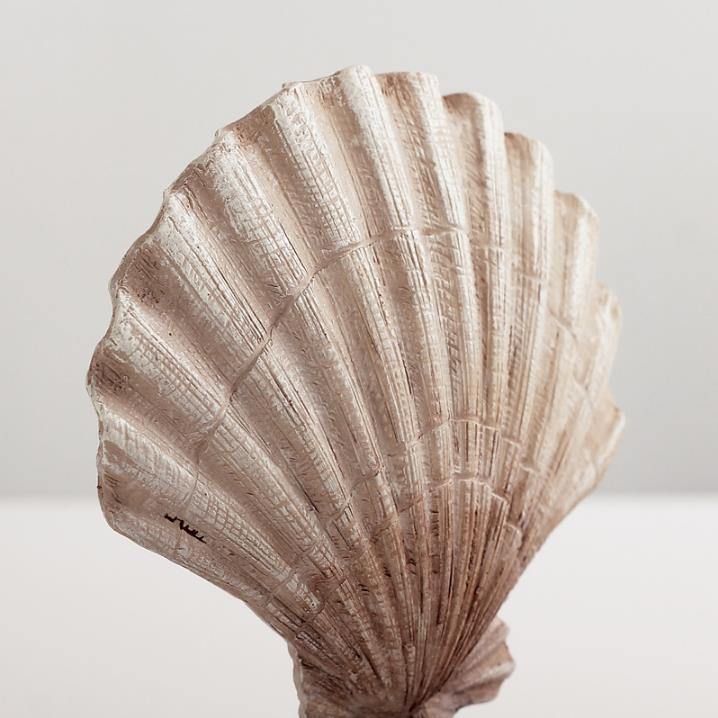 Decorative Marine Figurines - Nordic Side - marine, shell