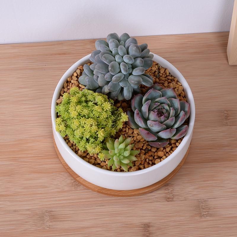 Bahari - Porcelain Round Desktop Succulent Planter - Nordic Side - 05-09