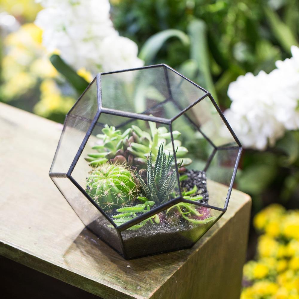 Pentagonal Handmade Terrarium - Nordic Side - 