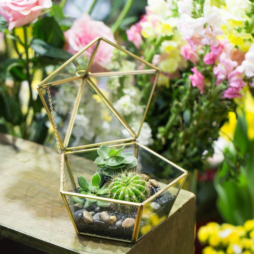 Triangular Roof Terrarium - Nordic Side - 