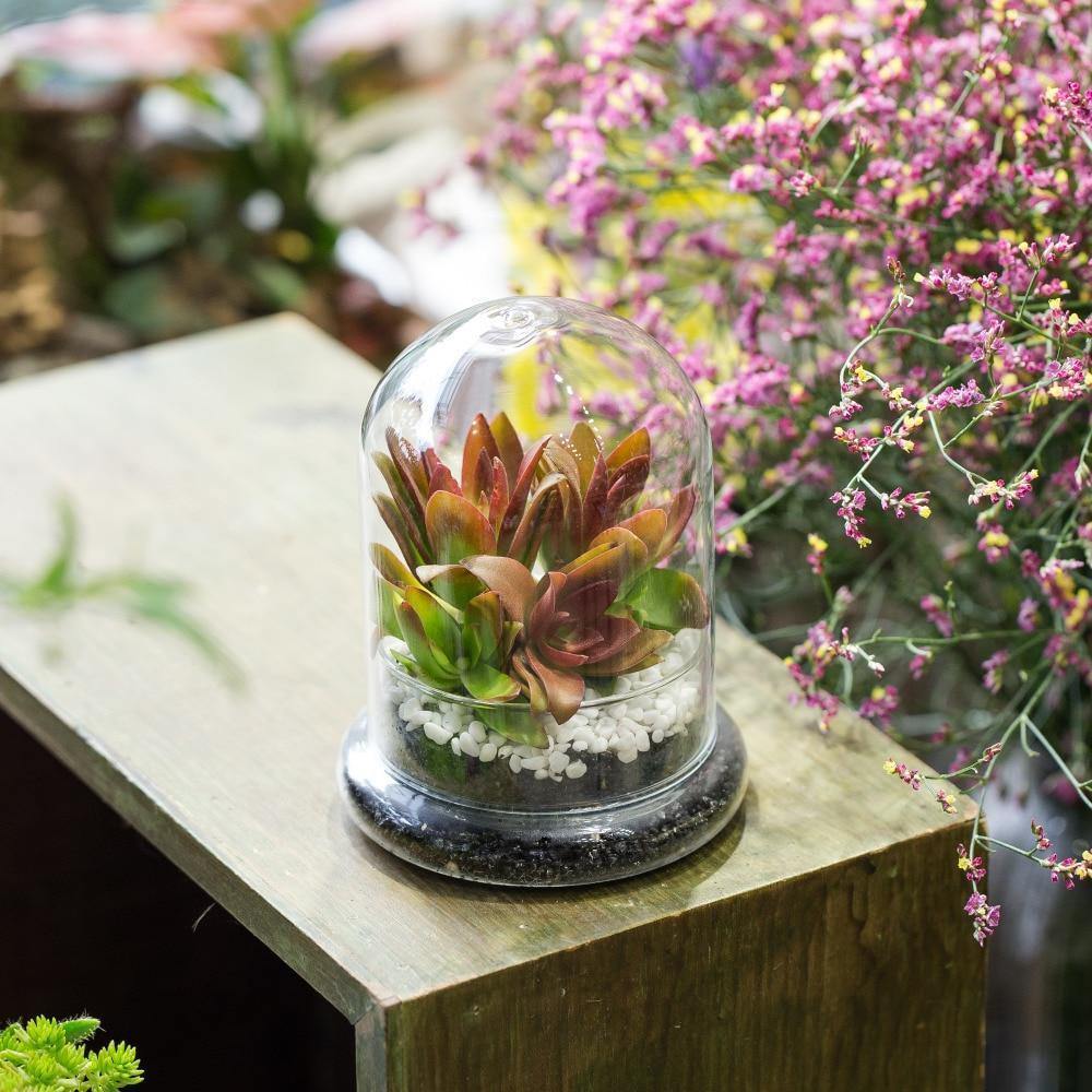 Cloche Terrarium Container - Nordic Side - 