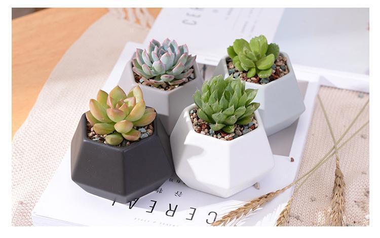 Hexagon Ceramic Planters Set - Nordic Side - 