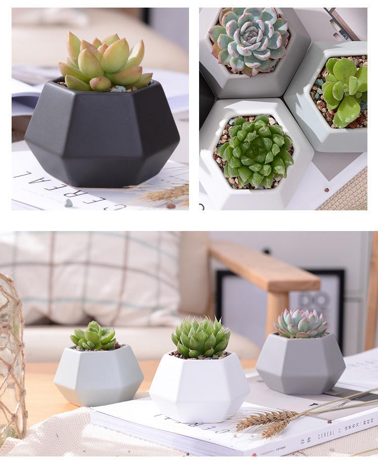 Hexagon Ceramic Planters Set - Nordic Side - 