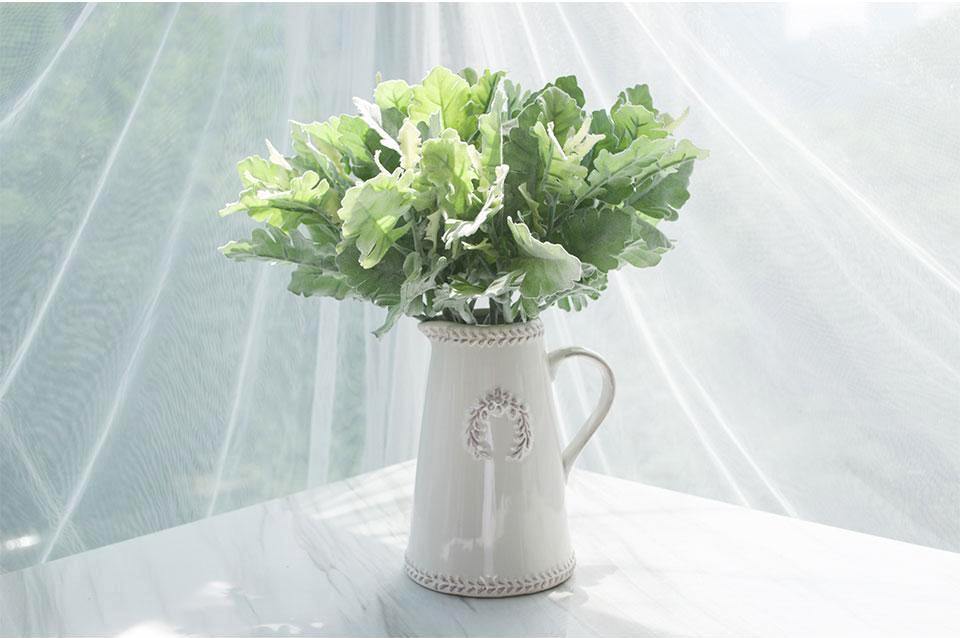 Dusty Miller Plant - Nordic Side - 