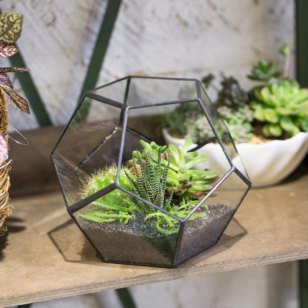 Pentagonal Handmade Terrarium - Nordic Side - 