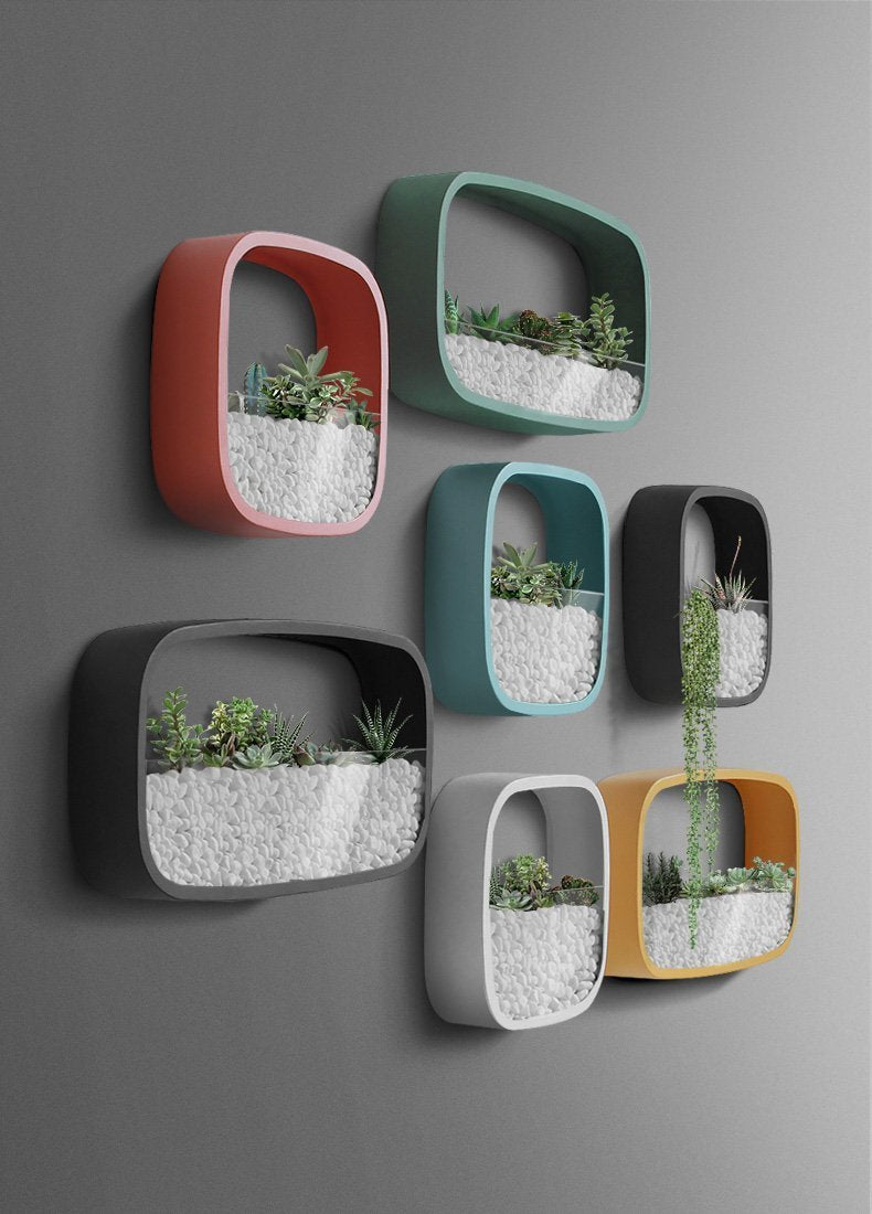 Nova - Rounded Modern Wall Planters - Nordic Side - 01-07, feed-cl0-over-80-dollars, sconce