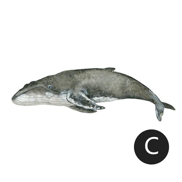 Dolphine Watercolour Wall Sticker - Nordic Side - 