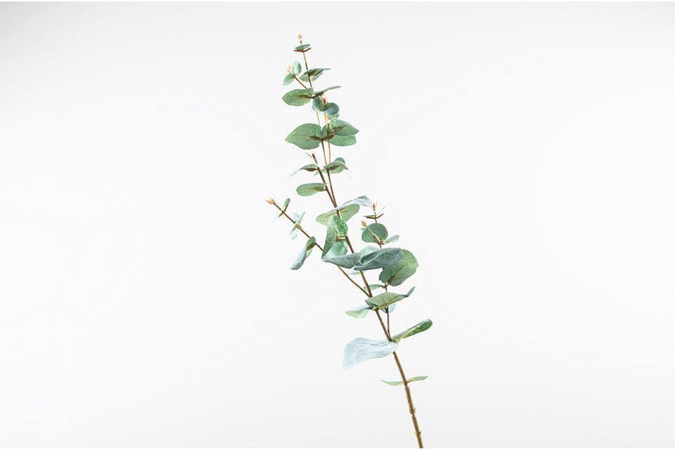 Mint Eucalyptus Branch - Nordic Side - 