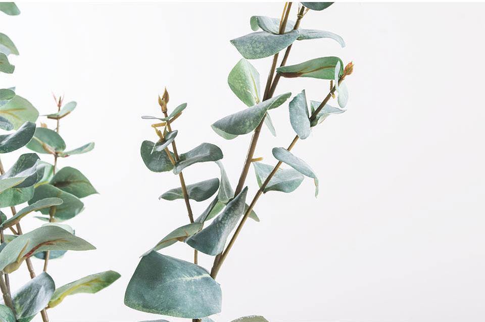 Mint Eucalyptus Branch - Nordic Side - 