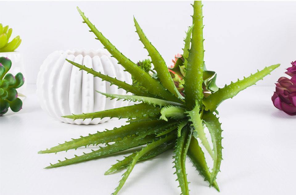 Artificial Aloe - Nordic Side - 