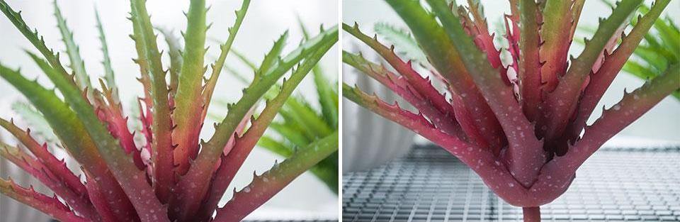 Artificial Aloe - Nordic Side - 