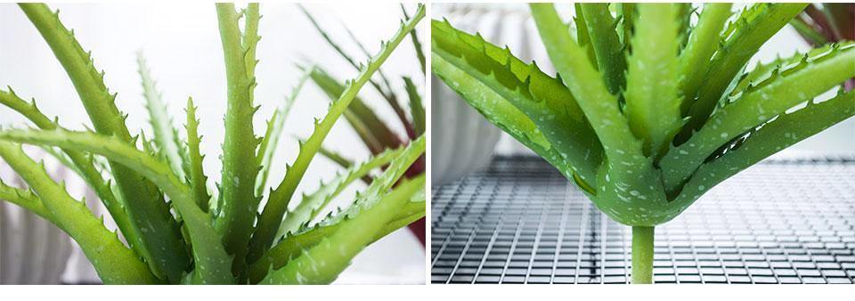 Artificial Aloe - Nordic Side - 