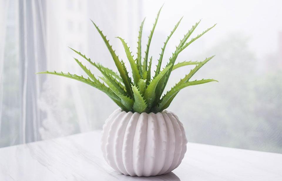 Artificial Aloe Fleshiness Plants - Nordic Side - 