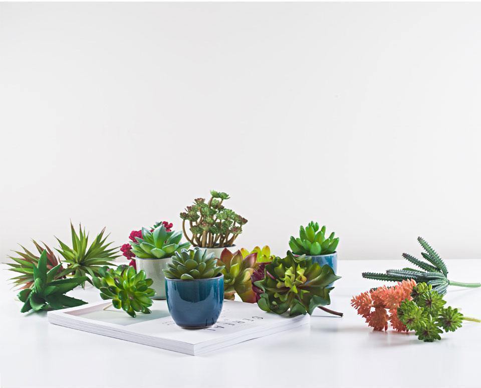 Artificial Succulents Diversity - Nordic Side - 