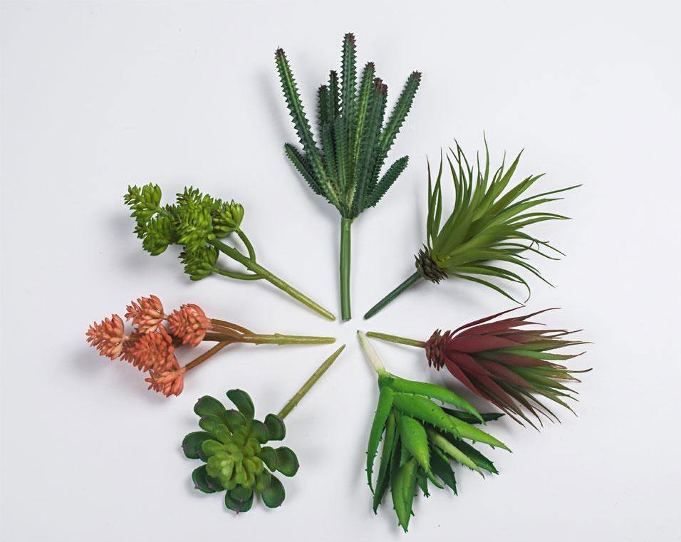 Artificial Succulents Diversity - Nordic Side - 