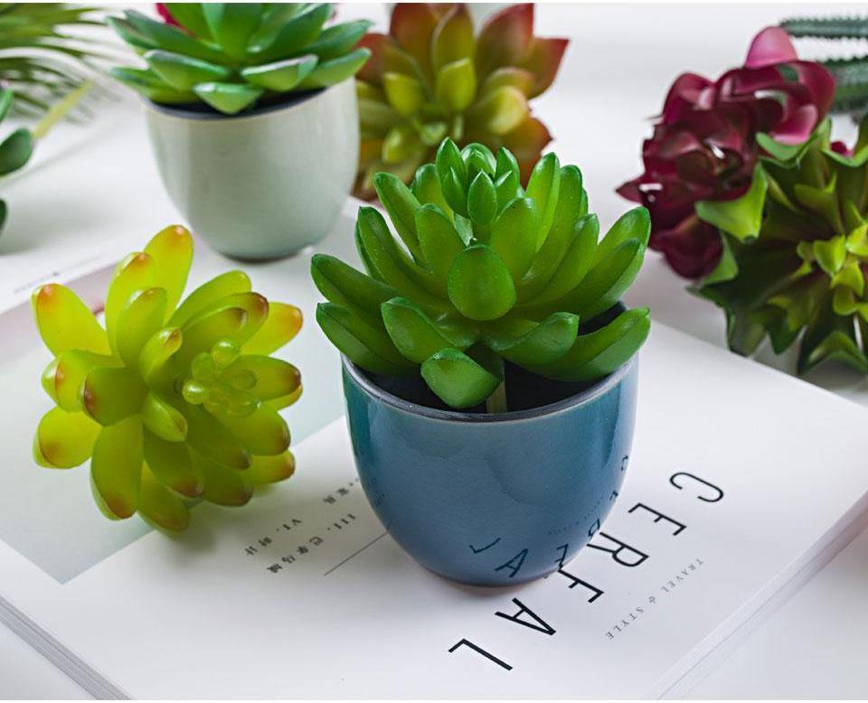 Artificial Succulents Diversity - Nordic Side - 