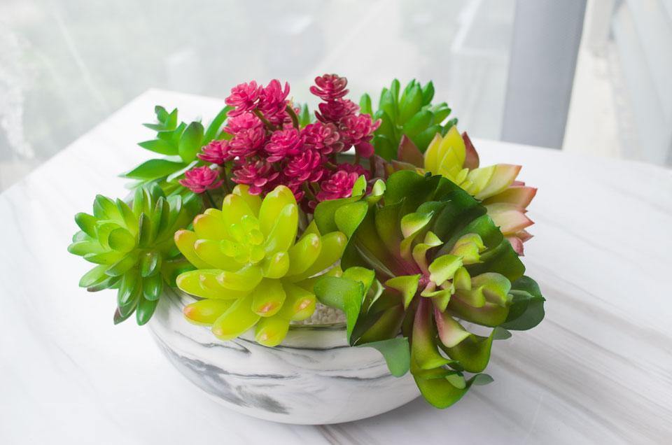 Artificial Succulents Diversity - Nordic Side - 