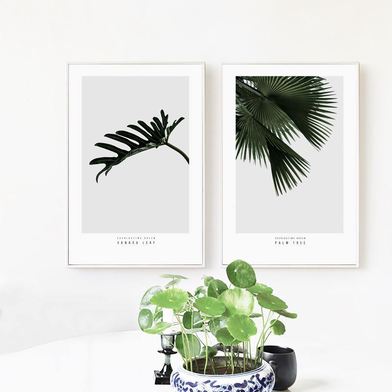 Dark Green Palms - Nordic Side - 