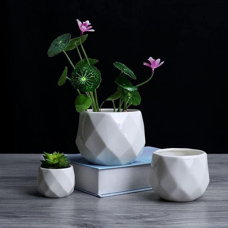 Paloma - Modern Geometric Succulent Planter - Nordic Side - 05-10