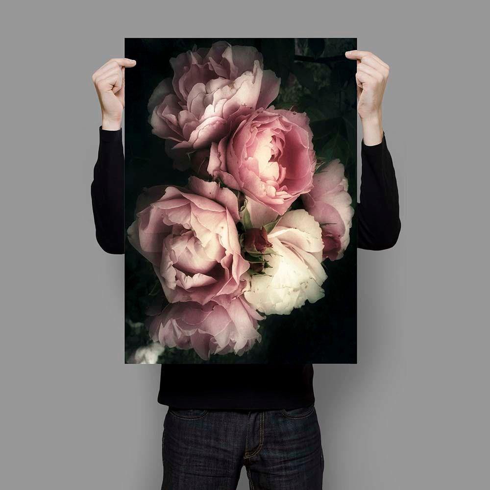 Glowing Peony - Nordic Side - 