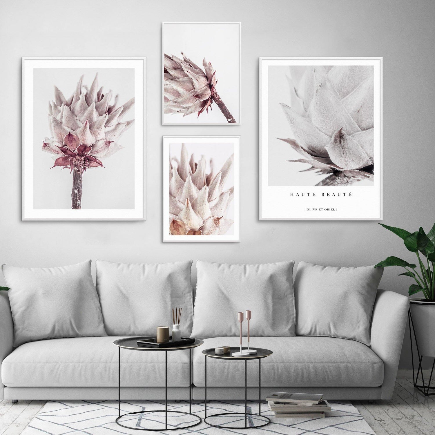 Pale Blush Protea - Nordic Side - 