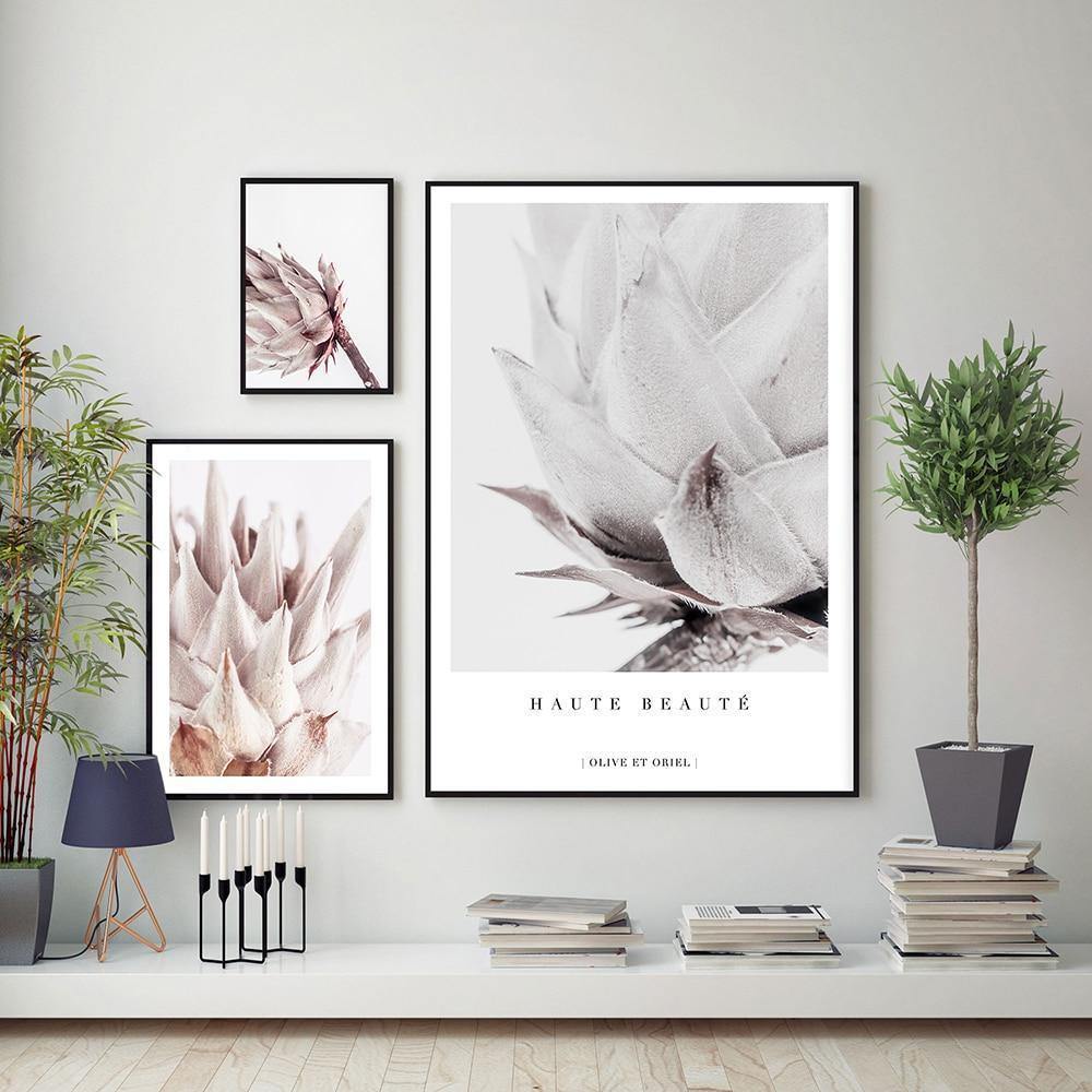 Pale Blush Protea - Nordic Side - 