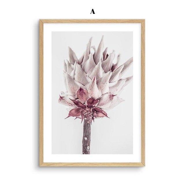 Pale Blush Protea - Nordic Side - 