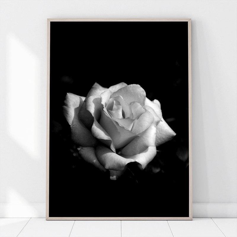 Black Zebra & Rose Wall Art - Nordic Side - 