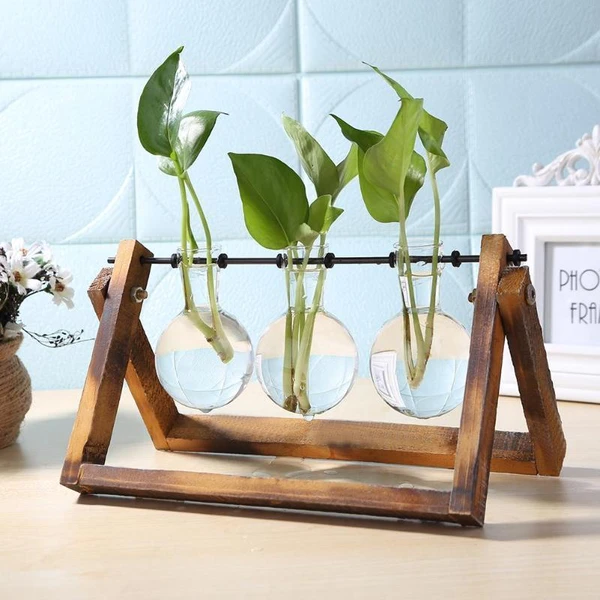 Terra - Hydroponics Transparent Plant Vase - Nordic Side - Modern Planters