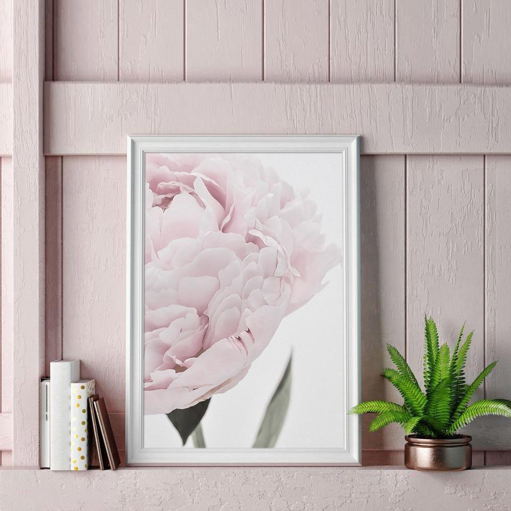 Romantic Close-up Peony - Nordic Side - 