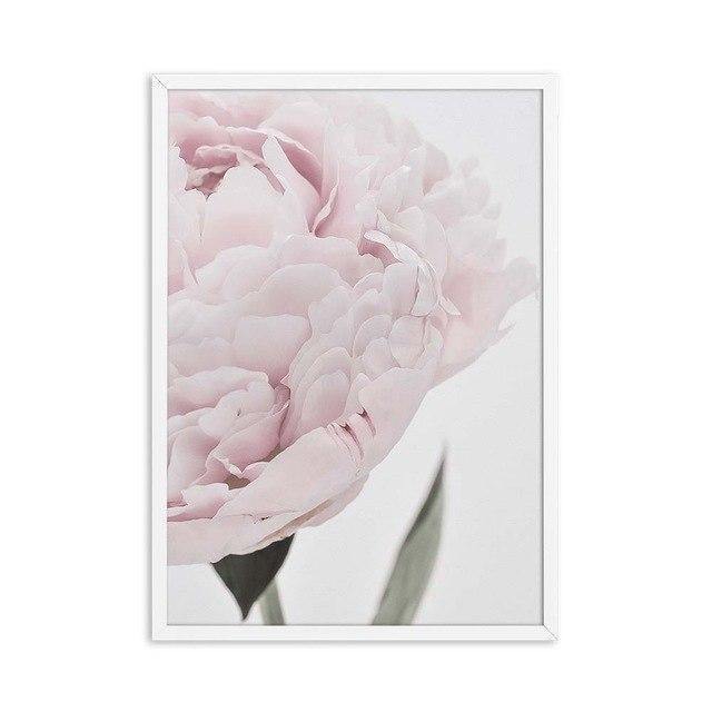 Romantic Close-up Peony - Nordic Side - 