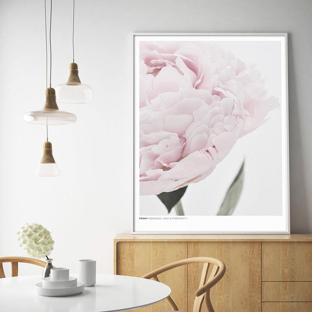 Romantic Close-up Peony - Nordic Side - 