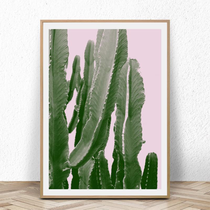 Amazing Cactus - Nordic Side - 