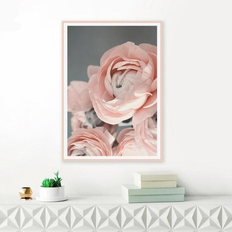 Pink Rose - Nordic Side - 