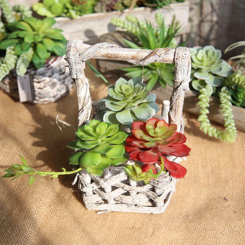 Artificial Succulents Variety - Nordic Side - 