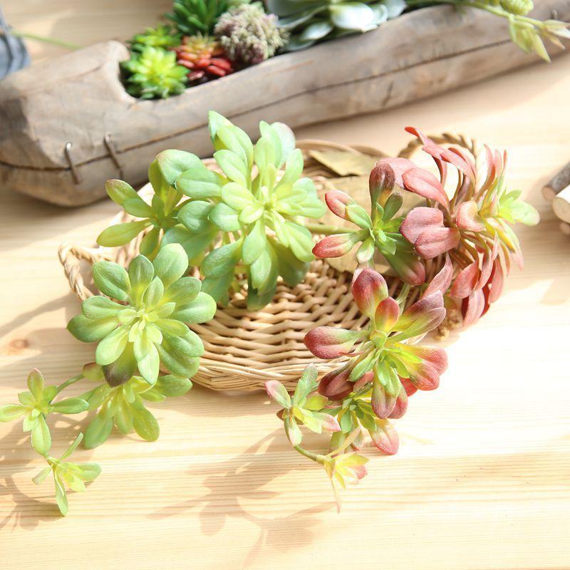 Artificial Succulents Variety - Nordic Side - 