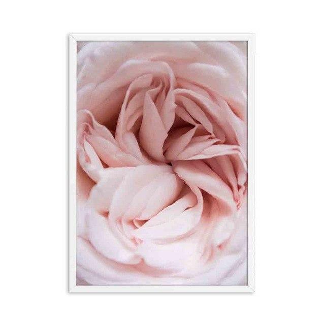 Closeup Peony - Nordic Side - 