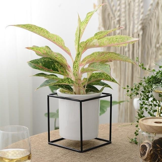 Odalys - Modern Iron Desktop Planter - Nordic Side - 05-10