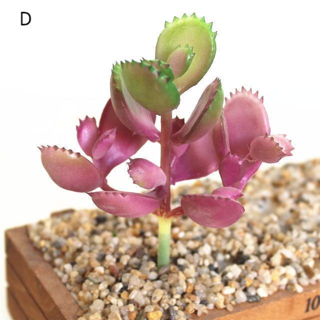 Purple Artificial Succulent - Nordic Side - 