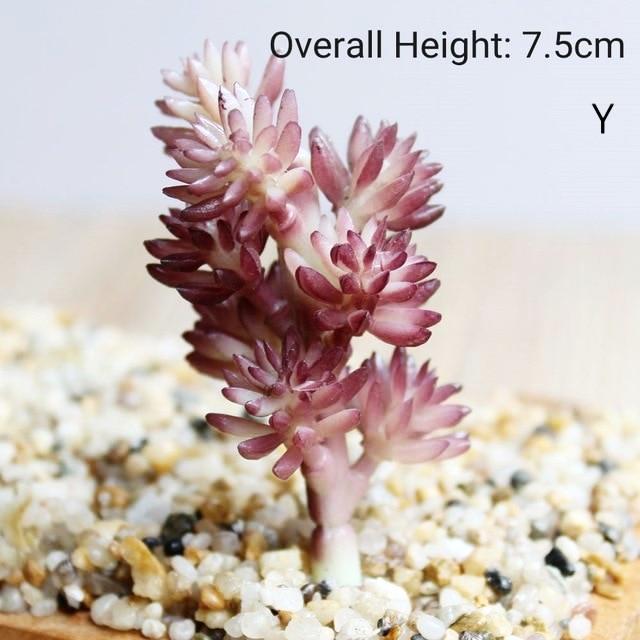 Purple Artificial Succulent - Nordic Side - 