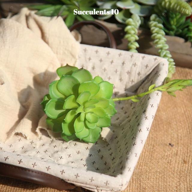 Artificial Succulents Variety - Nordic Side - 