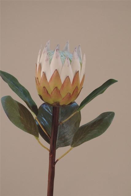 Protea Flower - Nordic Side - 